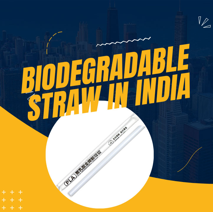 The Future Trends of Biodegradable Straw Industry in India: Navigating Environmental Regulations